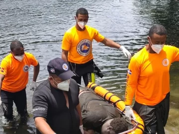 Peticion Publica al Ayuntamiento de Cotuí, al Ministerio de Medio Ambiente y a la Defensa Civil para implementar medidas urgentes de seguridad en el río Yuna tras la trágica muerte de un adolescente.