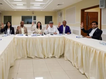 Peticion Publica al Ministerio de Relaciones Exteriores (MIREX) y a la Dirección General de Pasaportes (DGP) para agilizar y modernizar el proceso de obtención de pasaportes mediante la aprobación del proyecto de ley en el Senado de la República Dominicana.