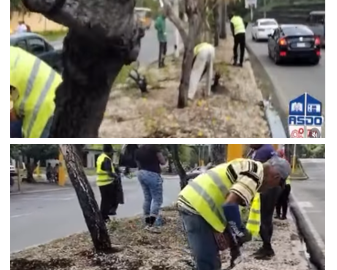 Petición Pública al Ayuntamiento, Ministerio de Obras Públicas y Comunicaciones (MOPC) y EDESUR para la implementación de un plan integral de mantenimiento y embellecimiento sostenible de la Avenida 27 de Febrero en Las Caobas – PeticionRD.