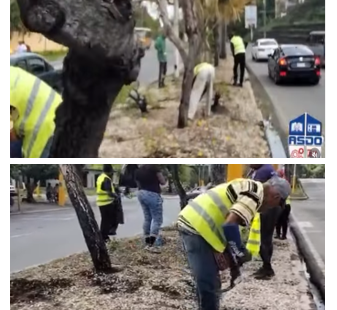 Petición Pública al Ayuntamiento, Ministerio de Obras Públicas y Comunicaciones (MOPC) y EDESUR para la implementación de un plan integral de mantenimiento y embellecimiento sostenible de la Avenida 27 de Febrero en Las Caobas – PeticionRD.