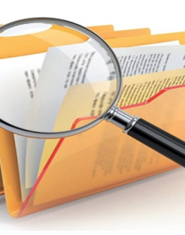 Transparencia Gubernamental: ¿Por qué es Vital y Cómo la Ciudadanía Puede Exigirl