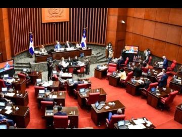 ¿Pueden las Peticiones Ciudadanas Cambiar Leyes? El Poder Real de Tu Voz